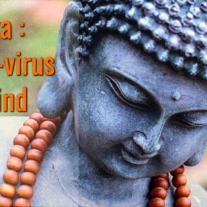 Jaap Yoga : The Anti-virus of the Mind